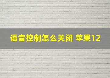 语音控制怎么关闭 苹果12